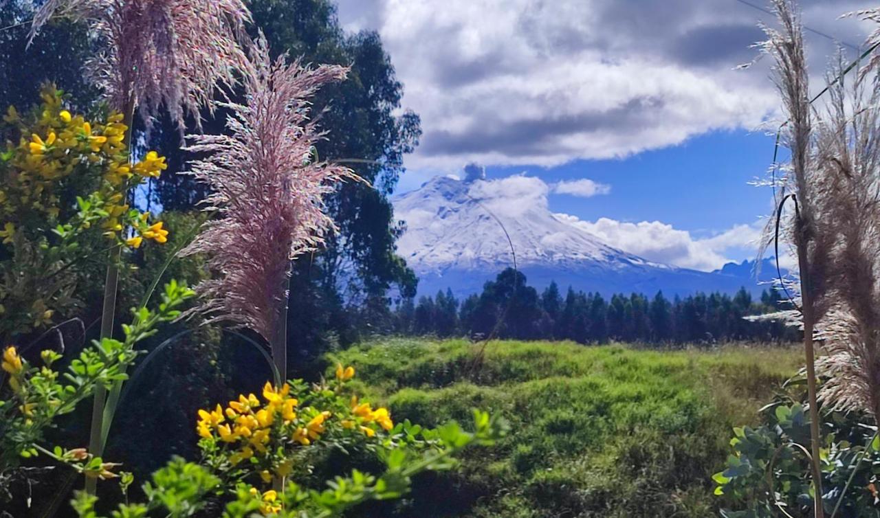 Cuscungo Cotopaxi Hostel & Lodge Chasqui エクステリア 写真