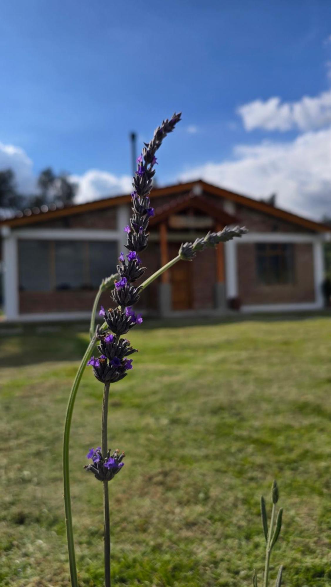 Cuscungo Cotopaxi Hostel & Lodge Chasqui エクステリア 写真