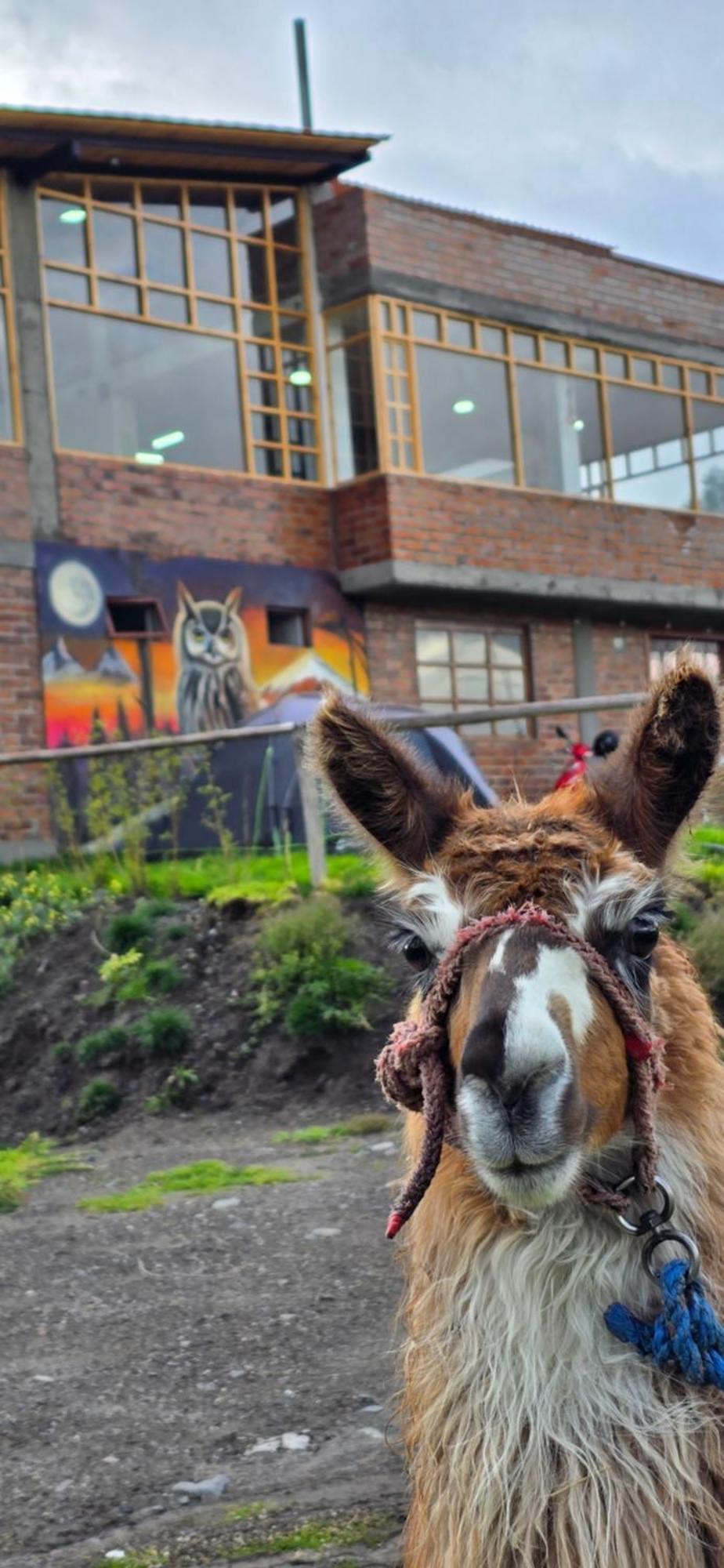 Cuscungo Cotopaxi Hostel & Lodge Chasqui エクステリア 写真